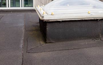 disadvantages of Earls Court flat roofs