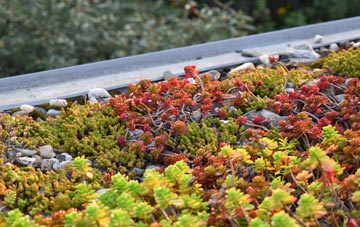 the cost of Earls Court green roof installation