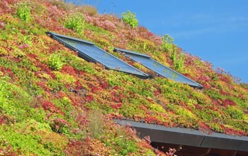 Earls Court living roof systems