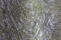 Earls Court fibreglass roof work